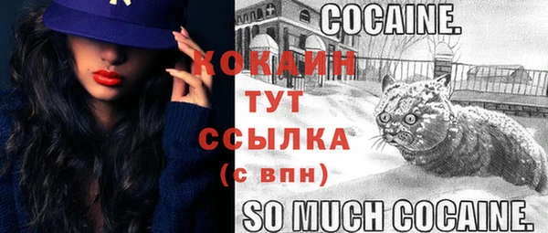 гашик Гусь-Хрустальный