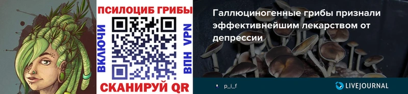 Псилоцибиновые грибы Psilocybine cubensis  где продают наркотики  Колпашево 